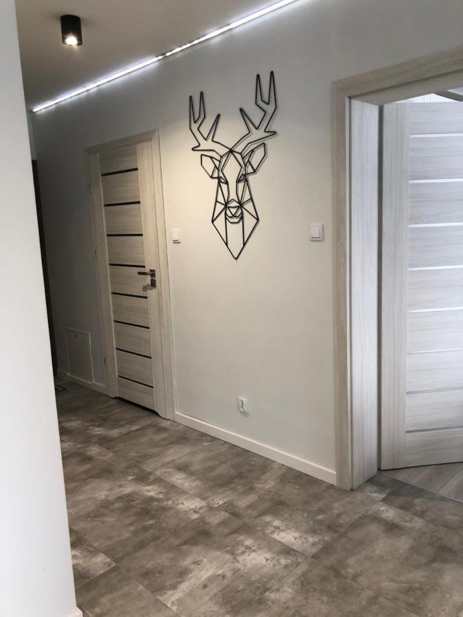 Apartament Happiness Jelenia Gora Exterior photo